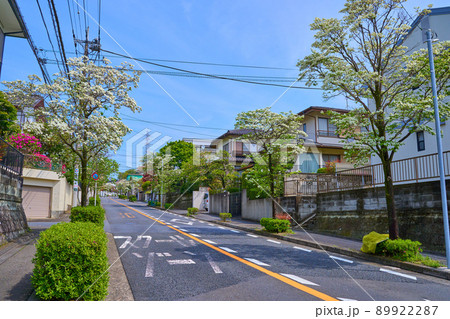 ハナミズキが咲く川崎市麻生区 王禅寺五差路交差点付近の上麻生2丁目と王禅寺西1丁目の境界を北側に見る ハナミズキが咲く川崎市麻生区 王禅寺五差路交差点付近の上麻生2丁目と王禅寺西1丁目の境界を北側に見る 89922287