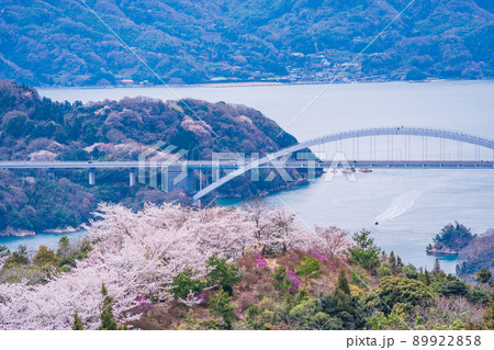 瀬戸内しまなみ海道 伯方島・開山公園の桜(後方に大三島橋) 瀬戸内しまなみ海道 伯方島・開山公園の桜(後方に大三島橋) 89922858