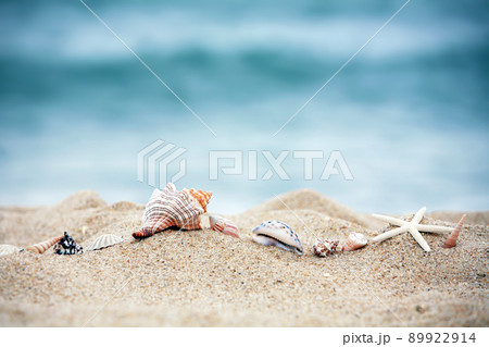 砂 ヒトデ 貝 89922914
