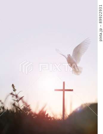 クロス 鳩 白 89922931