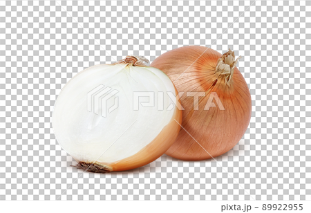 Onion onion illustration real set 89922955