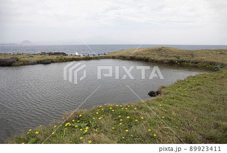 海 春 馬羅島 89923411