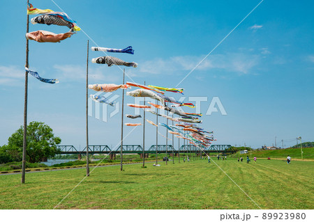 遠賀川河川敷の鯉のぼり2 89923980
