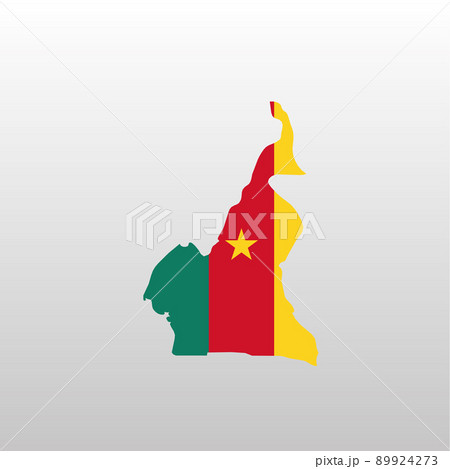 Cameroon national flag in country map silhouette