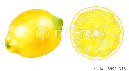 水彩イラスト　レモン 89924358