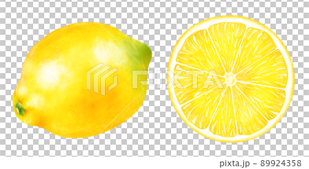 水彩イラスト　レモン 89924358