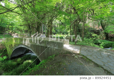 池山水源 池山水源 89924451