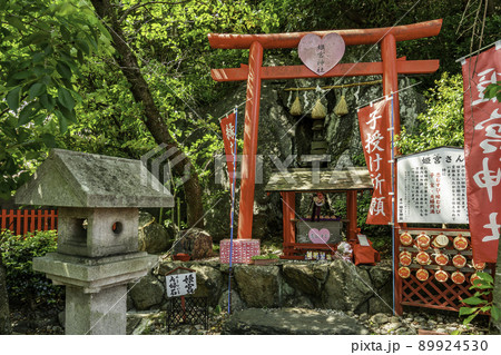 徳島眉山天神社 姫宮神社 徳島県徳島市 徳島眉山天神社 姫宮神社 徳島県徳島市 89924530
