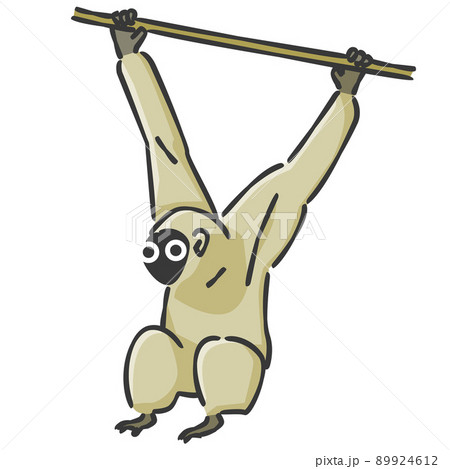 スタイリッシュなサル（イラストアイコン） 89924612