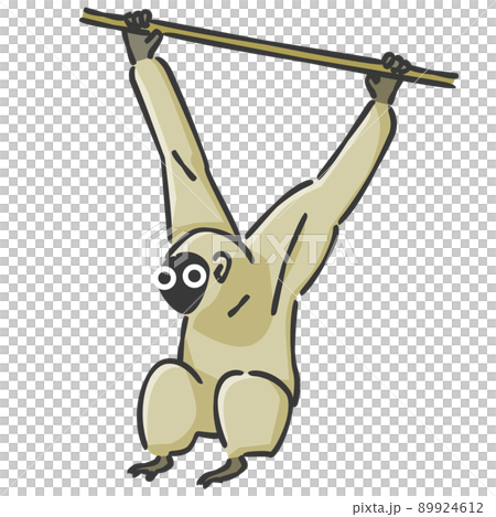 時尚的猴子（插圖圖標） 89924612