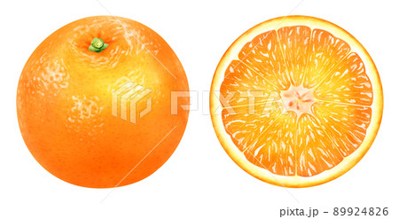 水彩イラスト オレンジ 水彩イラスト オレンジ 89924826