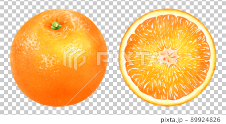 水彩イラスト オレンジ 水彩イラスト オレンジ 89924826