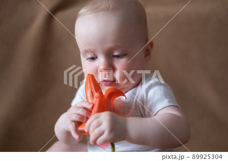 caucasian baby girl playing with a flower on a brown background. 89925304