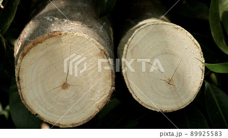 background image of wood 2 circles 89925583