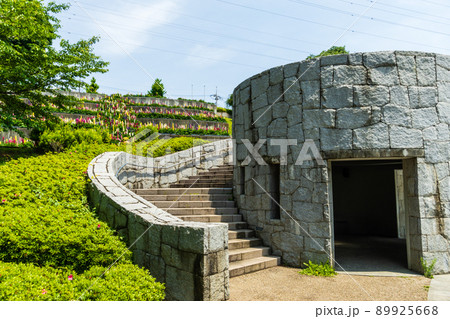 神奈川県　津久井湖城山公園　水の苑地 89925668