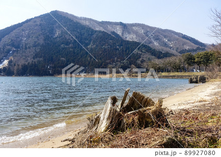 琵琶湖北端の塩津浜緑地公園（滋賀県長浜市） 89927080