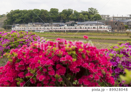 つつじと都営浅草線5300形 つつじと都営浅草線5300形 89928048