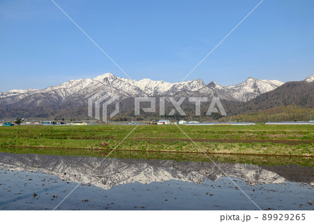 水田に映る雪景色をした芦別岳 89929265