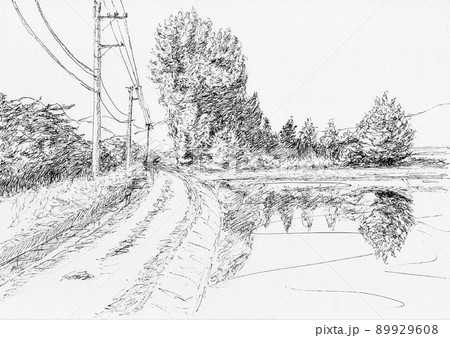 大きな木のある風景 89929608