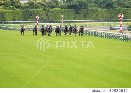 競馬場の風景　直線 89929632