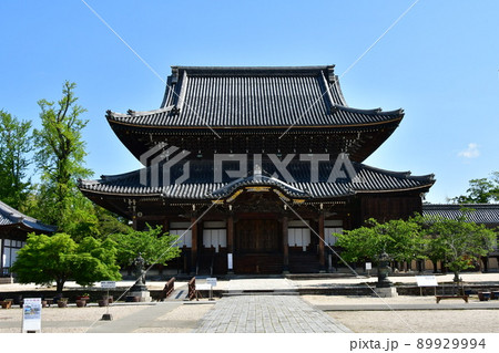 春の高田本山 専修寺 春の高田本山 専修寺 89929994
