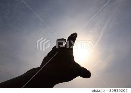 太陽をつかむ 太陽をつかむ 89930202