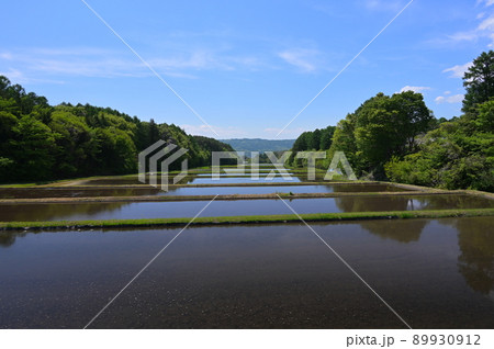 水田の風景・茅野市 水田の風景・茅野市 89930912