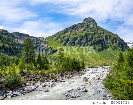Wild rocky river in alpine valley Wild rocky river in alpine valley 89931535