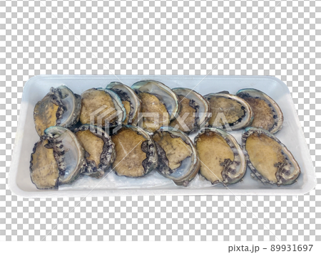Abalone, Seafood, Nuki 89931697