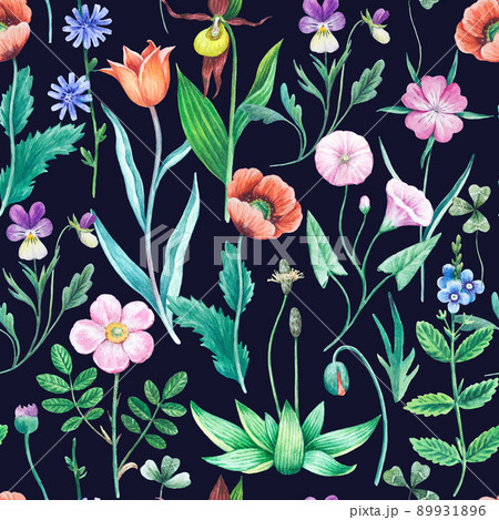Seamless watercolor floral pattern with wild field and meadow plants.  89931896