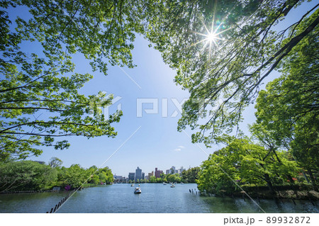 洗足池公園 89932872