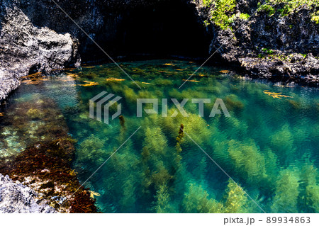 【新潟県・佐渡】青の洞窟　波が作った巨大洞窟群  琴浦  89934863