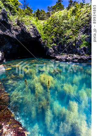 【新潟県・佐渡】青の洞窟　波が作った巨大洞窟群  琴浦  89934865