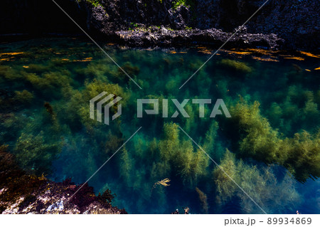 【新潟県・佐渡】青の洞窟　波が作った巨大洞窟群  琴浦  89934869