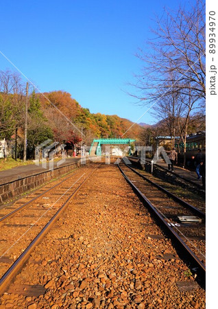 わたらせ渓谷鐵道　列車のレストラン清流　神戸駅 89934970