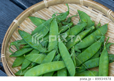 家庭菜園で収穫したキヌサヤ 89934978