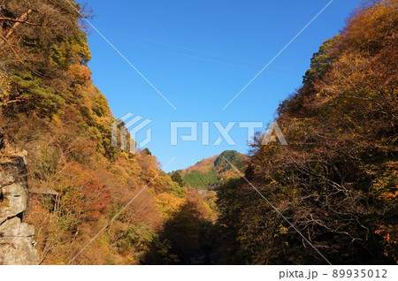 わたらせ渓谷　渡良瀬川　萬年橋　わたらせ渓谷鐵道　列車のレストラン清流　神戸駅 89935012