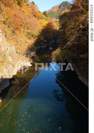わたらせ渓谷　渡良瀬川　萬年橋　わたらせ渓谷鐵道　列車のレストラン清流　神戸駅 89935014