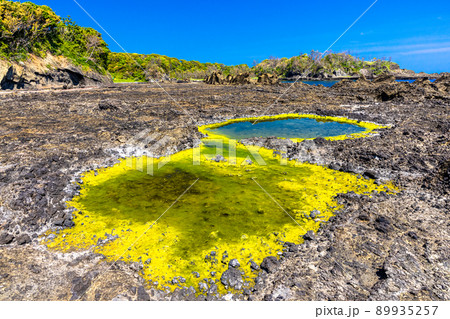 【新潟県・佐渡ジオパーク】海底火山で出来た海岸線  宿根木 89935257