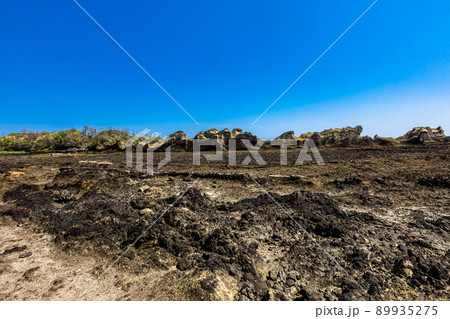 【新潟県・佐渡ジオパーク】海底火山で出来た海岸線 宿根木 89935275