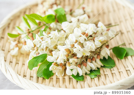 天ぷらの食材 ニセアカシアの花 天ぷらの食材 ニセアカシアの花 89935360