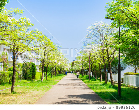 住まい・暮らし・街 イメージ 住まい・暮らし・街 イメージ 89936126