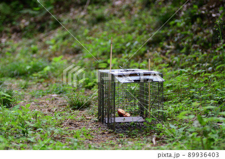 山の中に設置された捕獲機 89936403