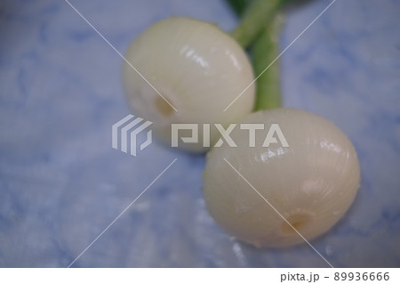 新玉ねぎ 89936666