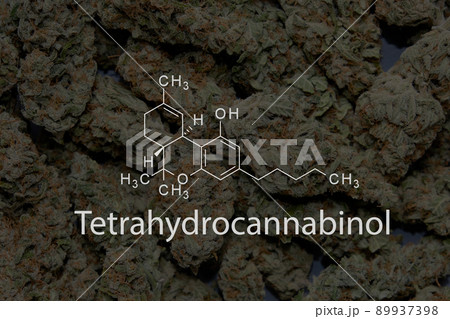 Tetrahydrocannabinol formula on background marijuana buds closeup. Medicinal cannabis drying flowers, macro view. THC stuff, medical usage, legalization. 89937398