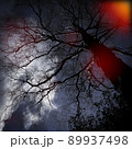 Folk Horror Inspired Images Of Trees And Skies. 89937498