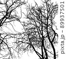 Folk Horror Inspired Images Of Trees And Skies. 89937501