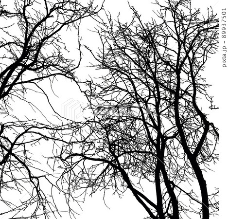 Folk Horror Inspired Images Of Trees And Skies. Folk Horror Inspired Images Of Trees And Skies. 89937501
