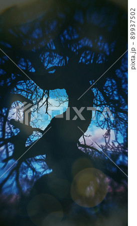 Folk Horror Inspired Images Of Trees And Skies. Folk Horror Inspired Images Of Trees And Skies. 89937502