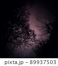 Folk Horror Inspired Images Of Trees And Skies. 89937503